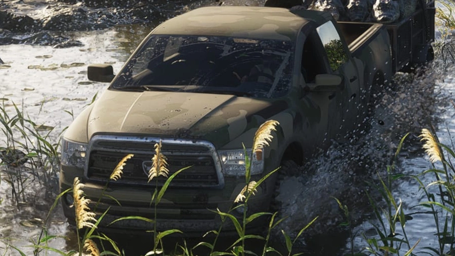 Bison
