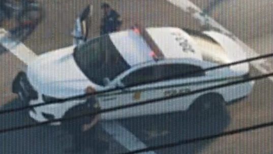 Police Cruiser (interceptor)