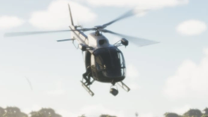 Police Maverick